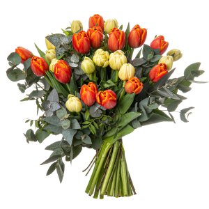 Bílé a oranžové tulipány